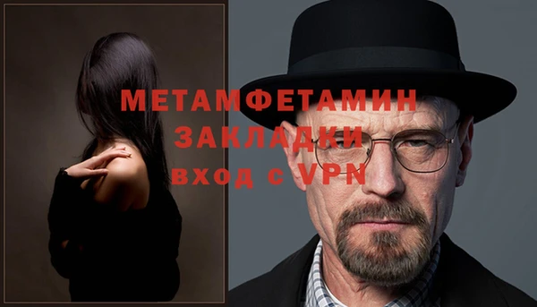 крисы Новозыбков